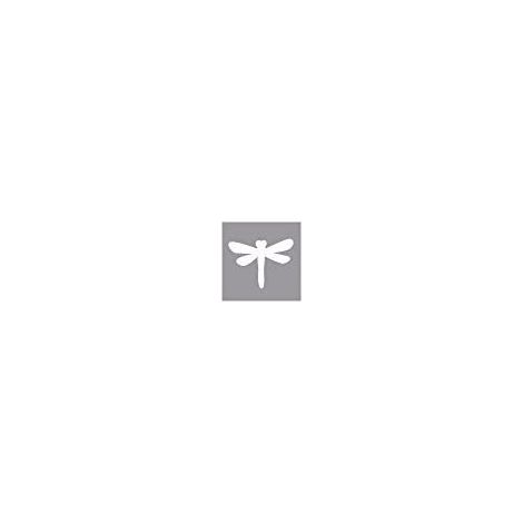 RAYHER - PERFORATRICE PER CARTA/CARTONCINI - FANTASIA LIBELLULA 2,54CM