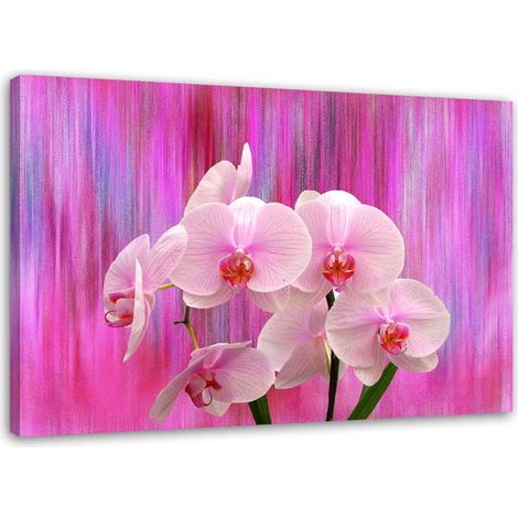 Cadre déco Orchidée Rose Nature Plantes 60x40 (1/5)