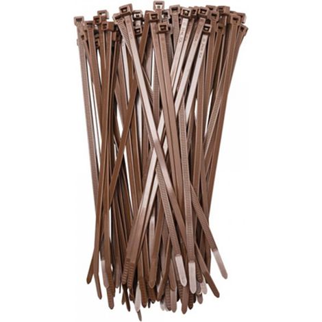 Bridas 2,5x100 marron 50 unidades