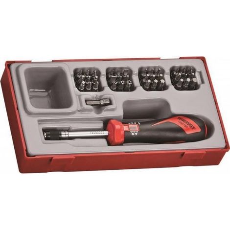 Tengtools TTSD38 Set di cacciaviti dinamometrici con 36 punte