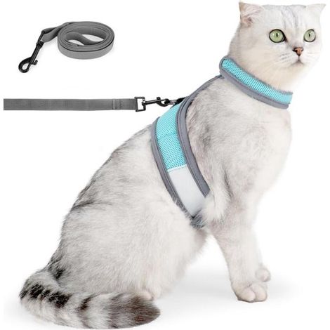 Adatto a gatti, gattini, Chihuahua e conigli include guinzaglio, guinzaglio traspirante antifuga, giubbotto riflettente regolabile e fascia pettorale. (1/5)