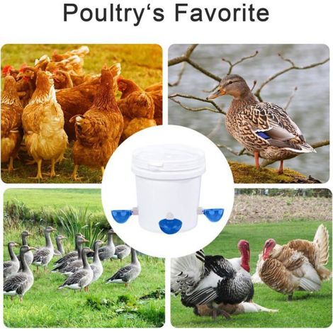 Abreuvoir Automatique Coupelle - PVC - Pour Poules et Volailles - Diamètre 7,6 cm - Lot de 8 (1/5)