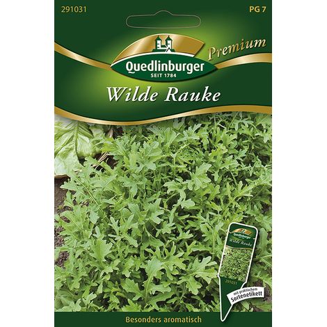 Quedlinburger Saatgut – Roquette sauvage – Graines d'herbes aromatiques, vivace, repousse après la coupe, rangs espacés de 15 cm