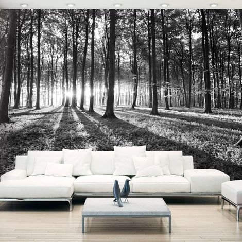 Papier peint désert gris - 200 x 140 cm (1/4)