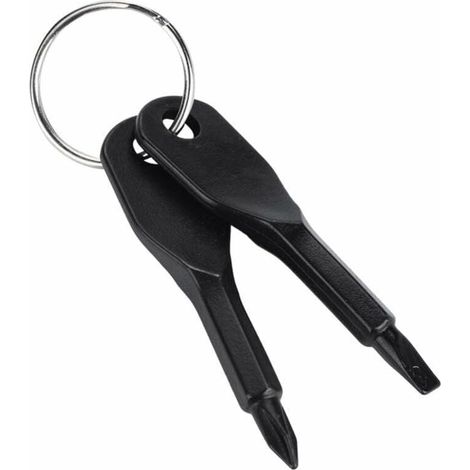 Ensemble de Porte-clés Mini Tournevis, tête Plate Portable en Acier Inoxydable et Outil de Jeu de Tournevis cruciforme Outil EDC Multifonctionnel extérieur Mini Outil de Poche avec Porte-clés-LIAIKI (1/5)