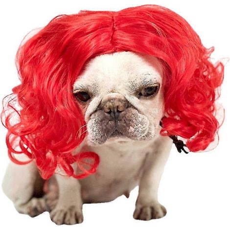 Perruque pour chien, perruque amusante pour tous les jours, perruque pour animaux de compagnie, accessoires d'Halloween, style 4 (1/2)
