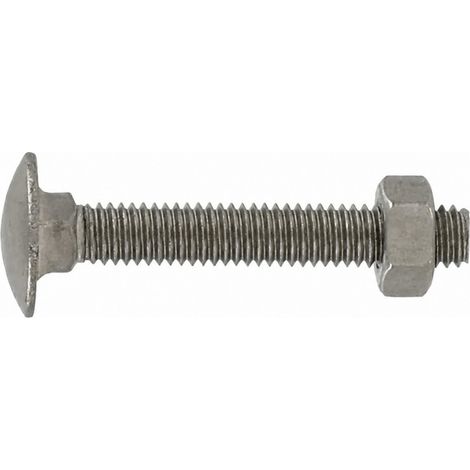 Bullone a testa tonda 6x70 mm in acciaio inox A2 con collare quadrato, 4 pz.