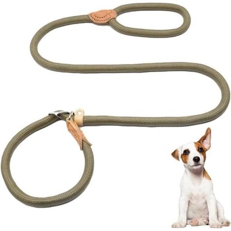 Laisse de Chien - Non spécifié - 150 cm - Nylon - Réglable - Anti-étouffement (1/4)