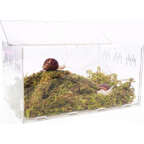 Réservoir à escargots avec réservoir à escargots de 28,5 x 20 x 15 cm, 60 g de mousse, jouet d'escalade de 23 cm (1/5)