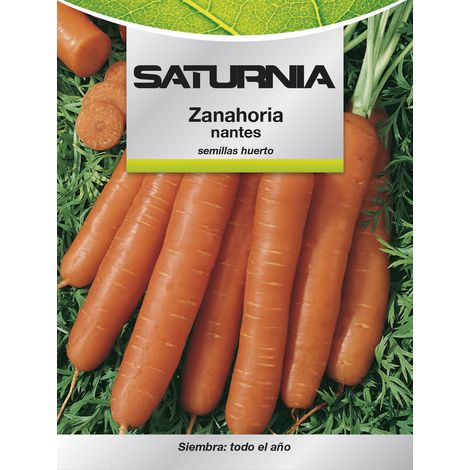 Semi di Carota Nantes Precoce (7 Grammi) (1/2)