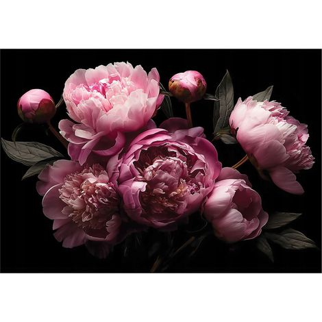 Papier peint mural fleurs pivoines roses intissé grand format design intérieur salon chambre pas cher 350x250 cm (1/5)
