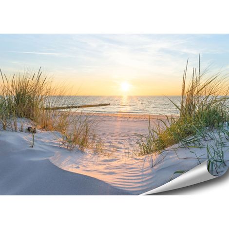 Poster Mer Lever de soleil Plage Dunes Images Nature Photo Décoration Salon Chambre Cuisine Sans Cadre Multicolore 70 cm x 50 cm (1/5)
