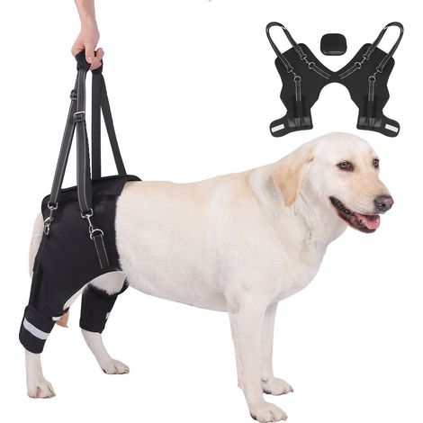 Harnais de soutien pour pattes arrière de chien - Aide à la mobilité pour animaux âgés et blessés