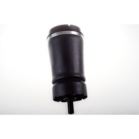 Muelle neumático trasero DSA112G denckermann