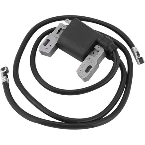 Pièces détachées pour tondeuse à gazon Bobine d'allumage Compatible avec Briggs & Stratton Armature Magneto 394891 392329 590781 (1/5)