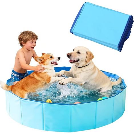 Piscine pliable pour chiens, 80 x 20 cm - Baignoire pour animaux de compagnie, petite piscine ludique pour chiens avec valve de vidange, piscine antidérapante pour chiens, piscine pour chats, jeux aqu (1/5)