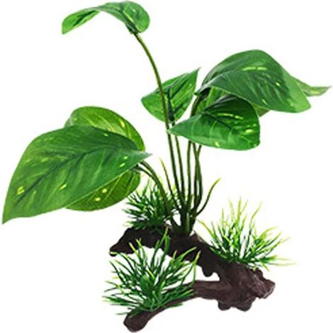 Aménagement aquarium – Bois de sarrasin vert immergé – Plantes aquatiques décoratives (1/5)