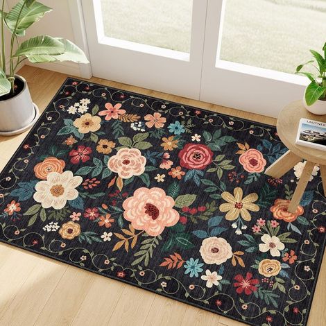 Paillasson d'intérieur lavable, coloré, 40 x 60 cm, 1 pièce Tapis moelleux pour couloir, chambre, cuisine Tapis antidérapant (1/5)