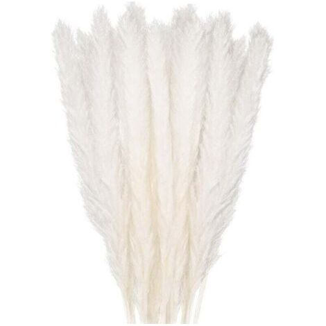 BUNTHAUS 30 Stück Pampasgras, 58 cm natürlicher, getrockneter Pampasblumenstrauß für Vasen, weiße Boho-Dekoration für Schlafzimmer, Wohnzimmer, Hochzeit, Fotoshooting, Tischdekoration