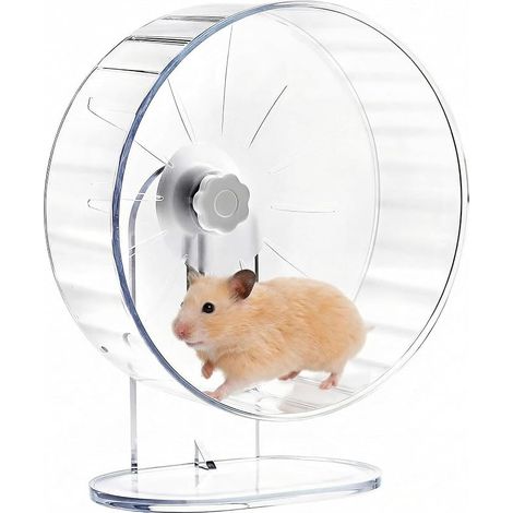 Roues d'exercice pour Hamsters - 22CM - Roues de Course Transparentes avec Support Ajustable (1/5)