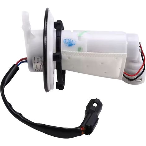 Motorcycle fuel pump compatible with CFMOTO 250SR, 300SR, CF250SR 6KJV-150900-8001 (1/4)