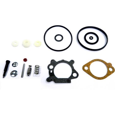 Kit joints carburateur tondeuse moteur Briggs et Stratton