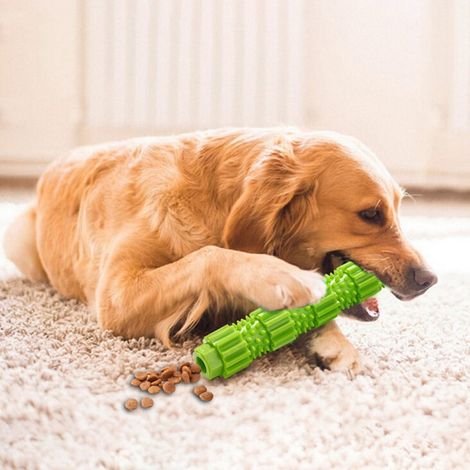 Jouet Pour Chien - Jouet À Mâcher En Caoutchouc Pour Nettoyage Dentaire - Pour Chiens Petits À Grands - Taille S 18 Cm Ou L 23 Cm - 1 Pièce (1/5)