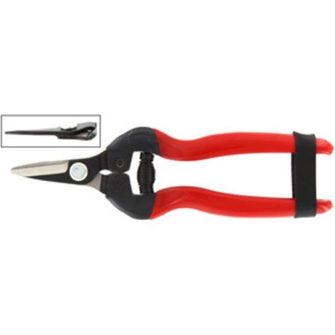 FORBICI P/UVA LAME DRITTE CORTE