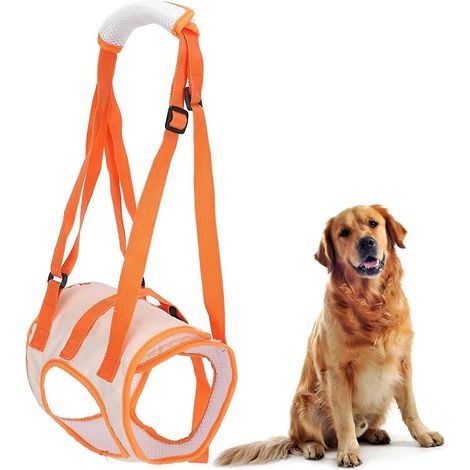 Harnais de levage pour chien, réglable et respirant, support pour les pattes arrière des chiens (L) (1/5)