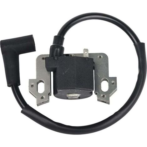 Modulo bobina di accensione compatibile con Honda GCV135 GCV160 GCV190 GSV160, bobina di accensione, bobina di ricambio (1/4)