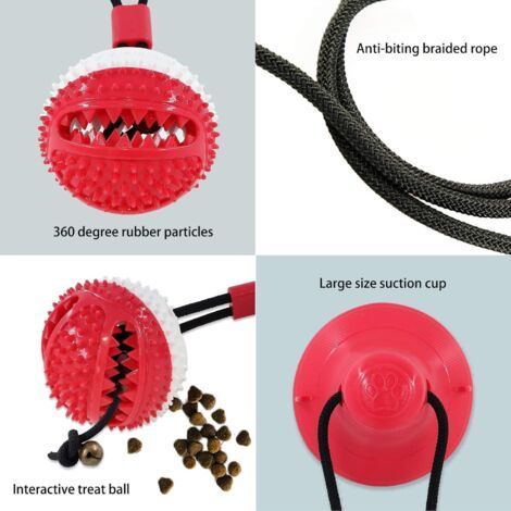 Jouet à mâcher pour chien, jouet à mâcher pour mâcheurs agressifs, jouet en laisse avec ventouse pour petits chiots, friandises de dressage pour chien ennuyeux, jouet de dentition, jouet éduc (1/5)
