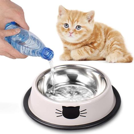 Gamelle pour Chat, Gamelle Chat en Acier Inoxydable, Mangeoirs et Abreuvoirs, Girs (1/5)