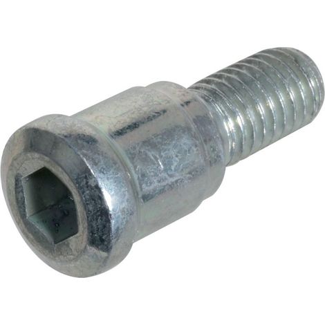 Vis pour loira+ avec contre-plaques - Longueur : 40 mm - FAPIM