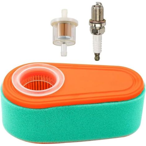 Filtre à air compatible avec moteurs Briggs & Stratton 795066, 796254, 33084 et DOV700 – pièce de rechange pour entretien et maintenance de matériel de jardin et motoculture (1/5)