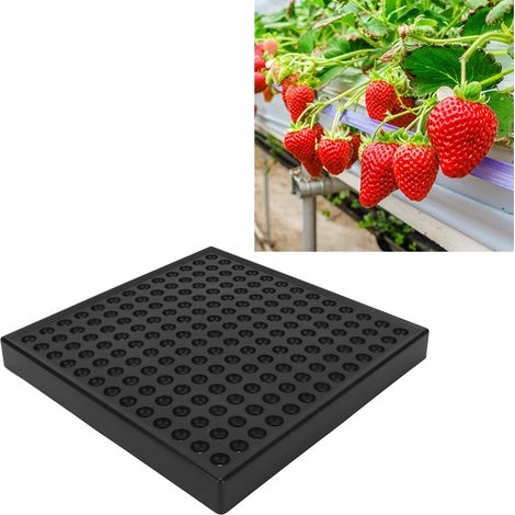 Lámpara LED de espectro completo de alta eficiencia para el cultivo de plantas de interior en germinación, 85–265 V, enchufe británico, 169 LED (80 W). (1/5)