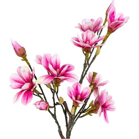 Magnoliatræ plante artificielle H74 cm verte, rose. (1/4)