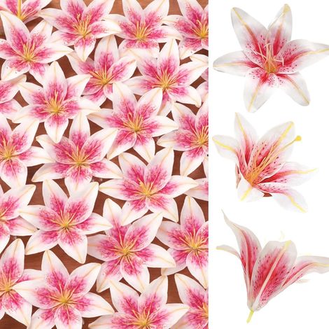 Lot de 24 grandes fleurs de lys artificielles en soie réalistes pour loisirs créatifs, mariage, décoration d'intérieur (dégradé rose/blanc) (1/5)