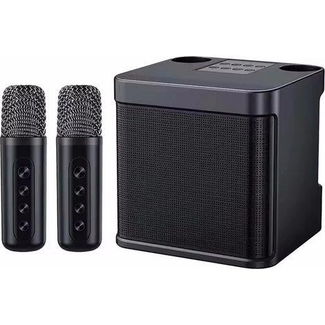 Enceinte Bluetooth (noire) avec double microphone sans fil (1/5)