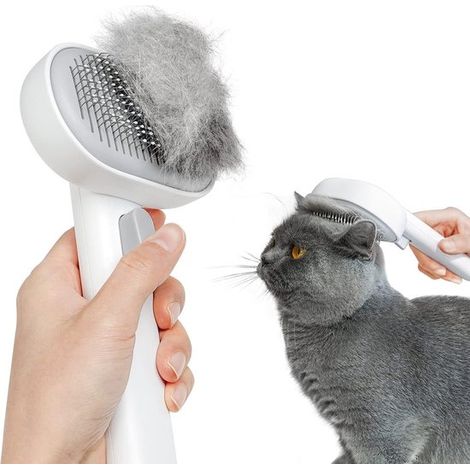 Cepillo autolimpiante para gatos y perros – cepillo de púas (1/5)
