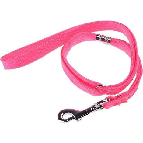 Harnais de toilettage pour chien, sangle de bain réglable, boucle en nylon robuste, corde de contention pour table de toilettage.