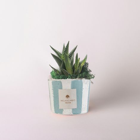 Vaso decorato a strisce con pianta grassa succulenta Millerighe - Navy