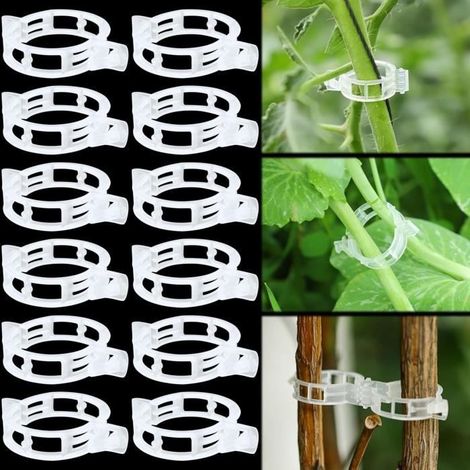 Attache Tomates Clips 200PCS Clips de Support pour Plantes Tuteur Plante Grimpante Clips de Vigne pour Haricots Légumes, Fleurs (1/4)