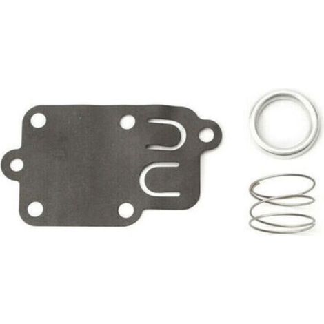 Membrane carburateur Briggs et Stratton (1/4)