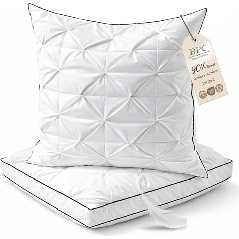 Oreiller Plumes et Duvet d'oie 60x60 cm Lot de 2, 3 Chambres (1/5)