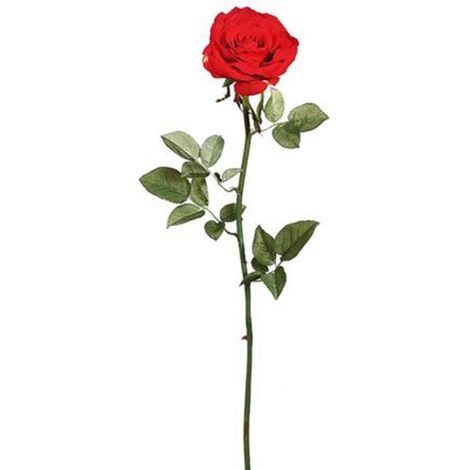 Fiore artificiale Rosa h 35 cm effetto realistico con stelo e foglie verdi (1/2)