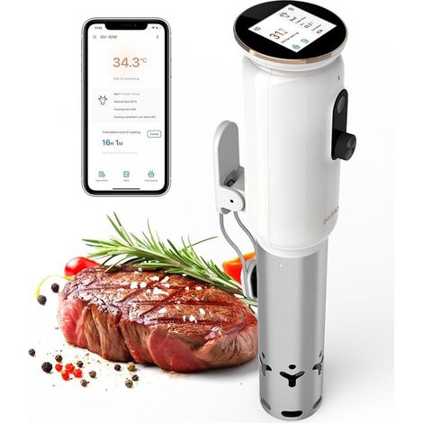 Thermoplongeur sous vide INKBIRD ISV-101W cuiseur vapeur 1000W chauffage à circulation d'eau 3D WiFi avec application Écran TFT (1/5)
