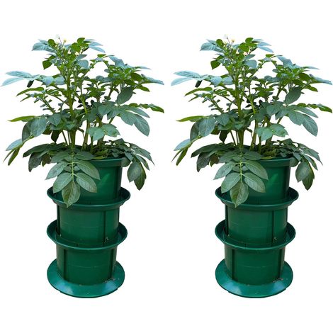 Platform Potato Growpot Planter (Set of 2) (1/5)
