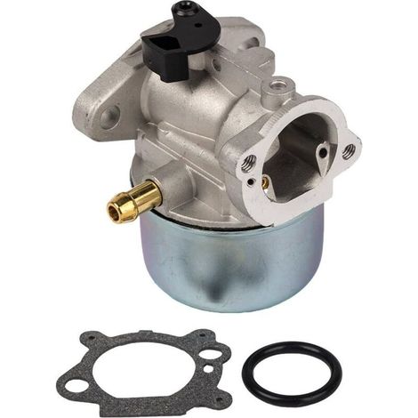Vergaser 799868 mit Dichtung und O-Ring, kompatibel mit Briggs & Stratton Vergasern 498170, 498254, 497347 und 497314