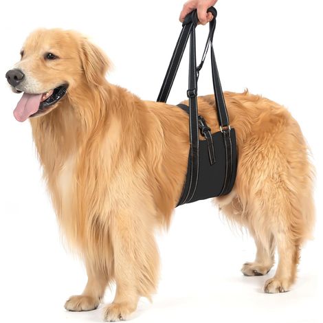Dog Lifting Harness, Support Harness for Age Dogs with Handle and Straps for Hip Dysplasia, Disabled, Joint Injuries – Black(S) (1/5)