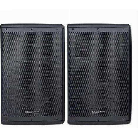 TRADE SHOP - Coppia Casse Audio Acustiche 4000w Extreme Sound Woofer 15" Bluetooth Usb Djn-15 -